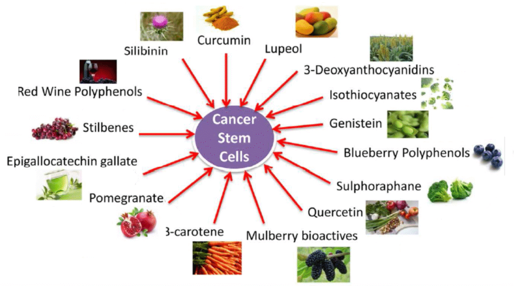 Anti-Cancer Foods